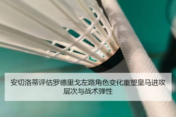 安切洛蒂评估罗德里戈左路角色变化重塑皇马进攻层次与战术弹性